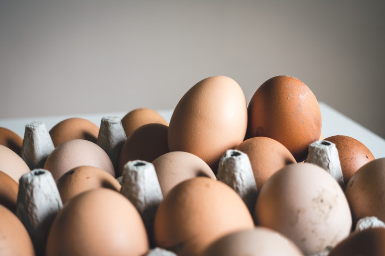 Local Eggs Near Columbus